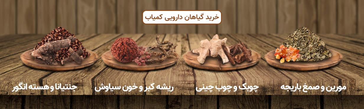 عطاری آنلاین دیجی عطار، فروشگاه جامع گیاهان دارویی وطب سنتی